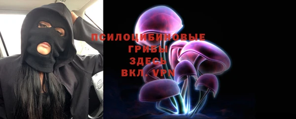 a pvp Алзамай