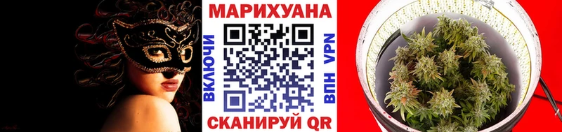 хочу   Барнаул  Бошки марихуана MAZAR 